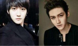 张佳慧爆料男明星视频,真相与争议并存